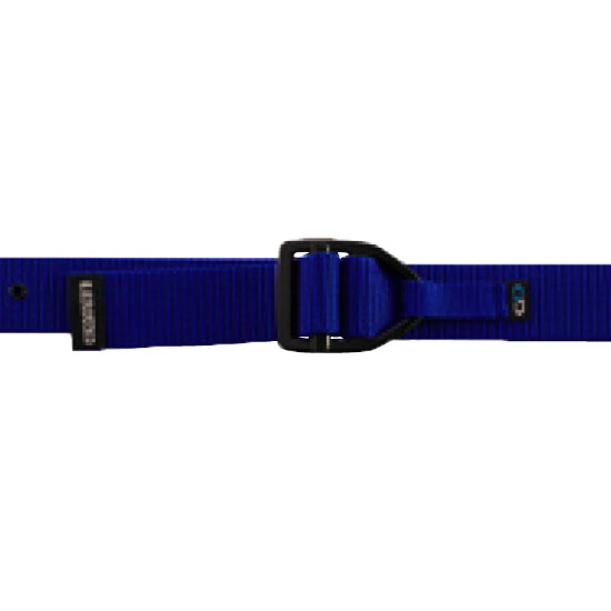 ロイヤルブルー