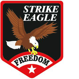 MA-1ワッペン 11010　STRIKE EAGLE (STRIKE EAGLE)