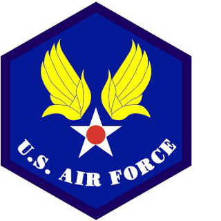 MA-1ワッペン 11019　U.S.AIR FORCE (U.S.AIR FORCE)