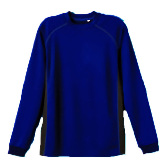 ロイヤルブルー