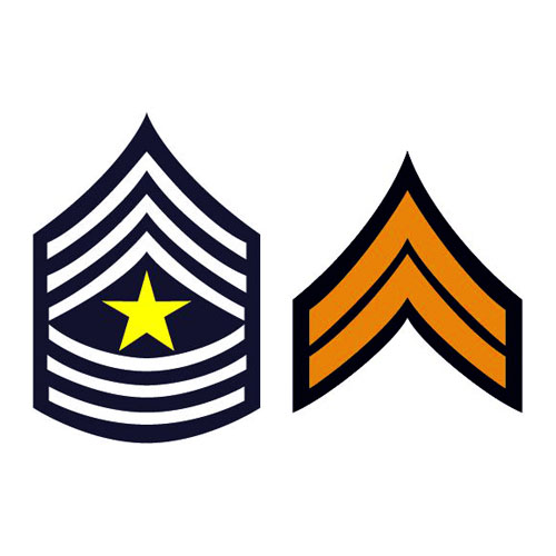 2 Insignias of the United States Army