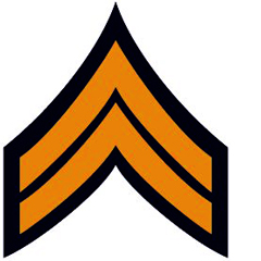 2 Insignias of the United States Army