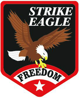 MA-1ワッペン 11010　STRIKE EAGLE
