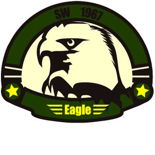 MA-1ワッペン 11028　SW 1967 Eagle