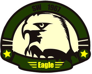 MA-1ワッペン 11028　SW 1967 Eagle